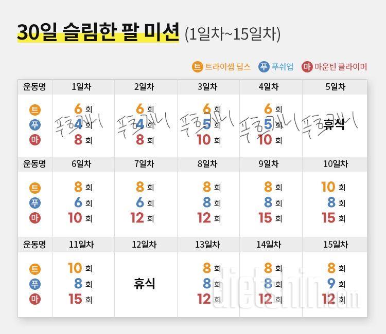 30일 슬림한 팔5일차 성공!