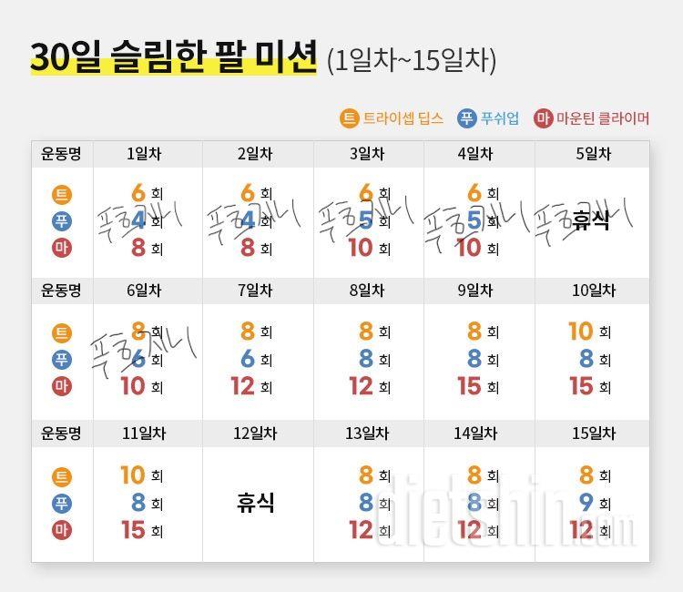 30일 슬림한 팔6일차 성공!