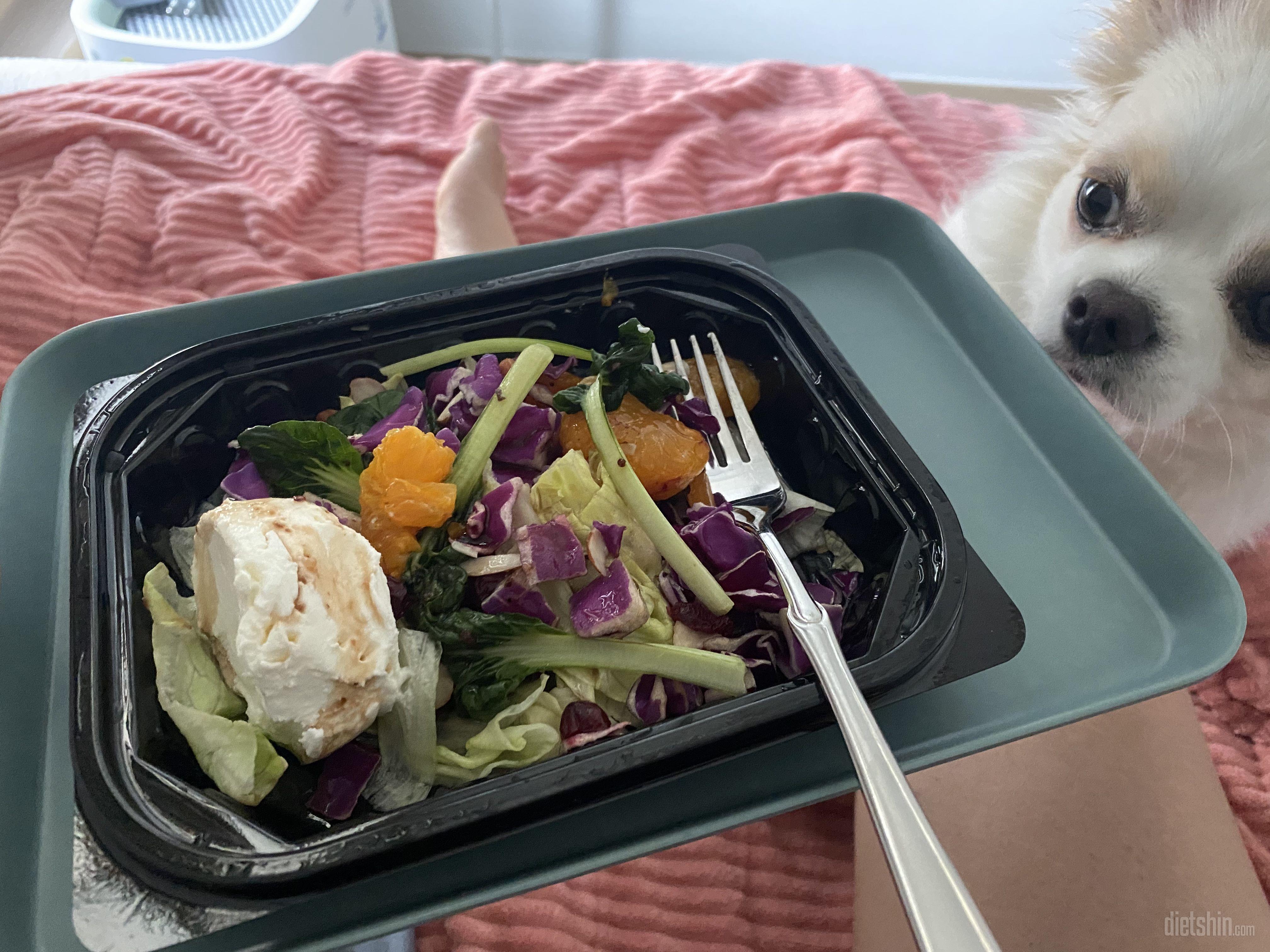 채소 신선하고 드레싱도 함께와서 한끼