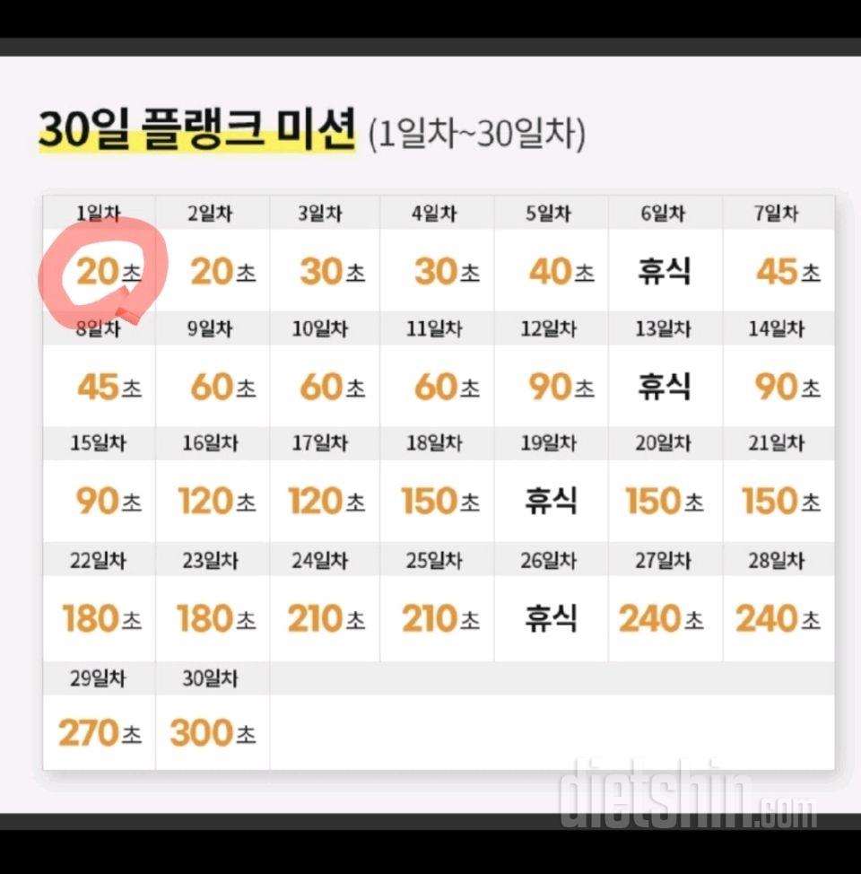 30일 플랭크1일차 성공!