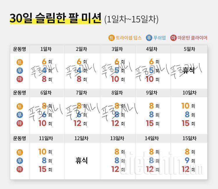 30일 슬림한 팔8일차 성공!