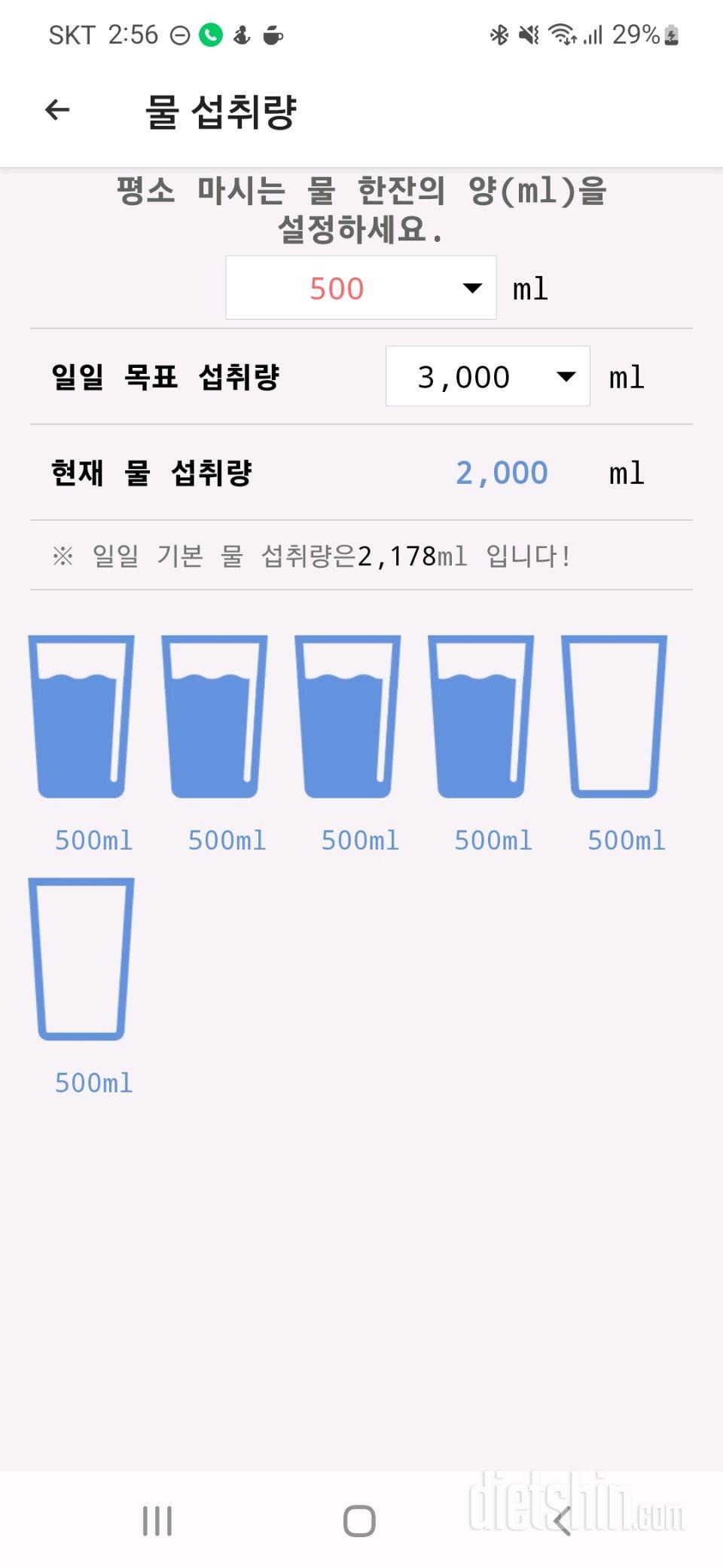 30일 하루 2L 물마시기1일차 성공!