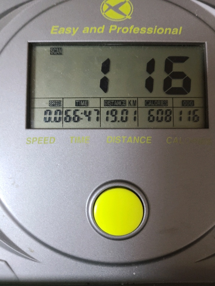 07월 13일( 운동 600kcal)