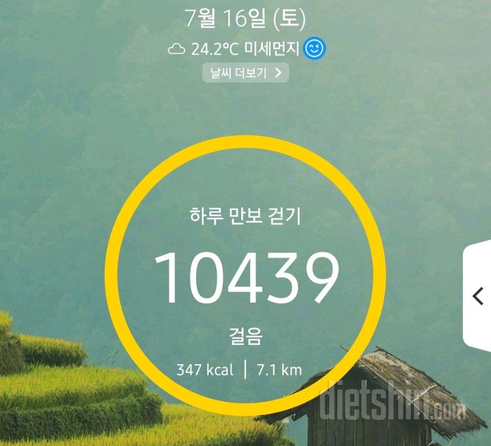 30일 만보 걷기31일차 성공!