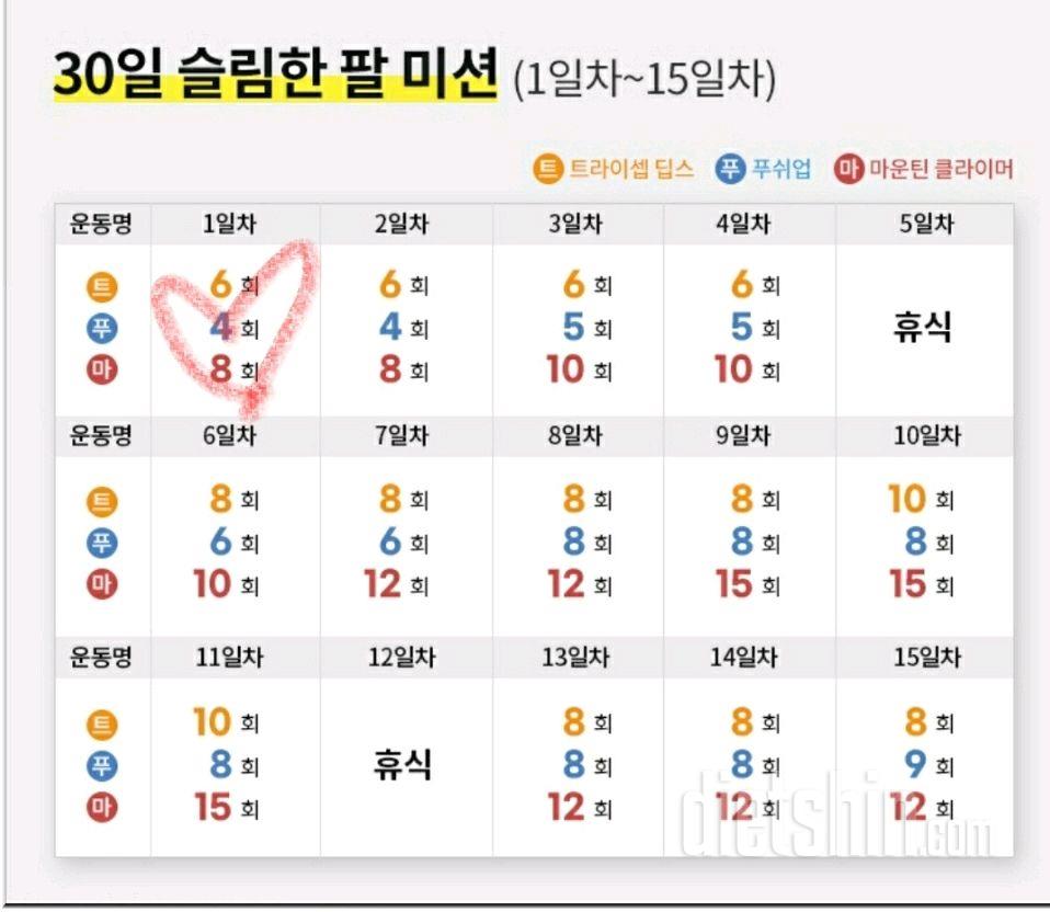 30일 슬림한 팔 1일차 성공!