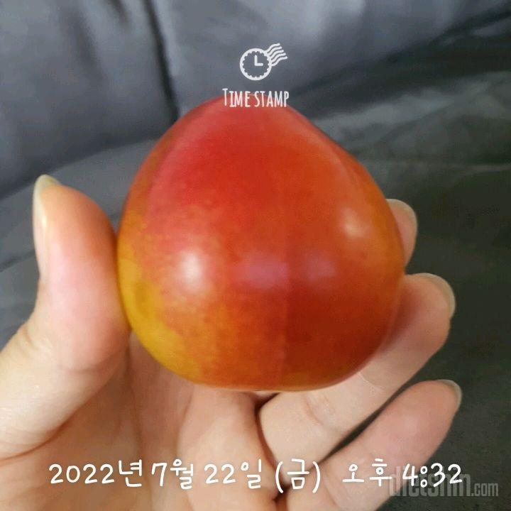 식단🤗운동 7.22.금