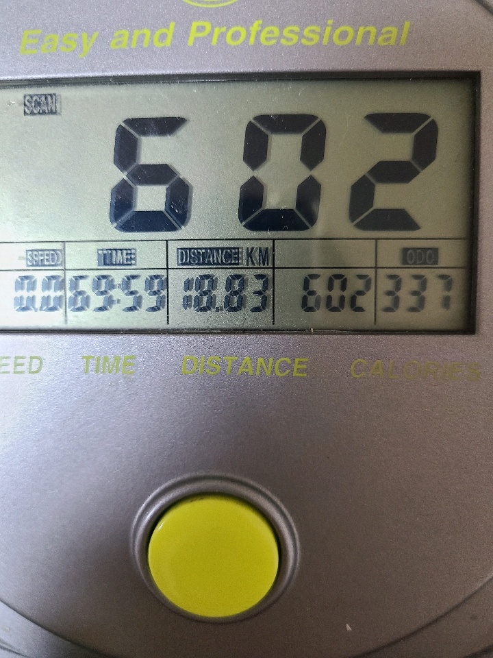 07월 26일( 운동 600kcal)