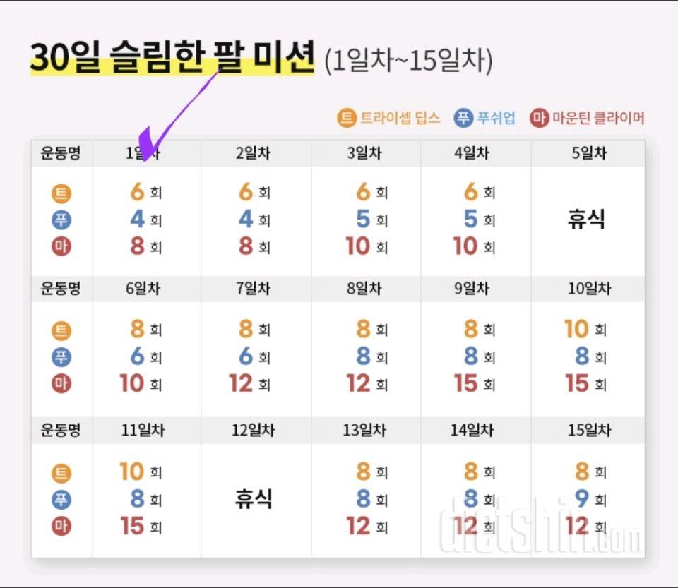 30일 슬림한 팔31일차 성공!