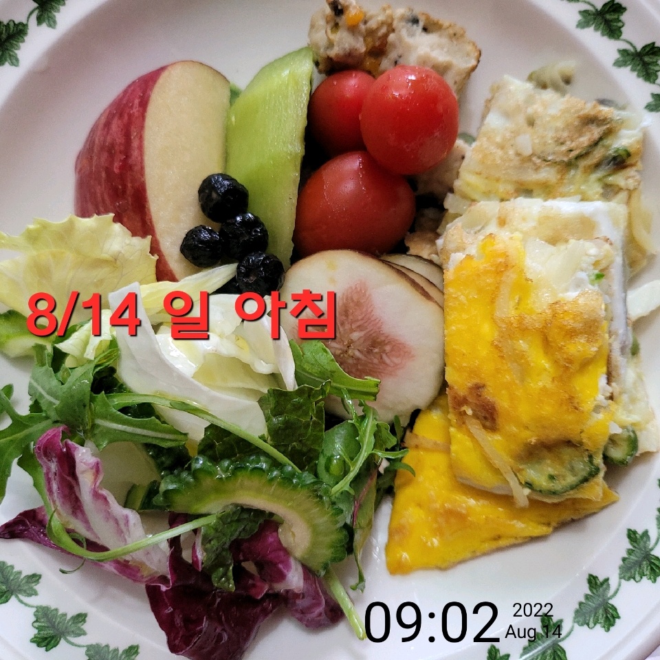 08월 14일( 아침식사 353kcal)