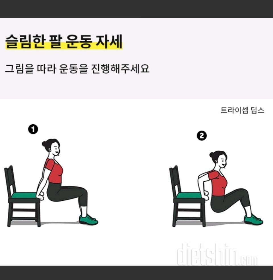 30일 슬림한 팔 1일차 성공!