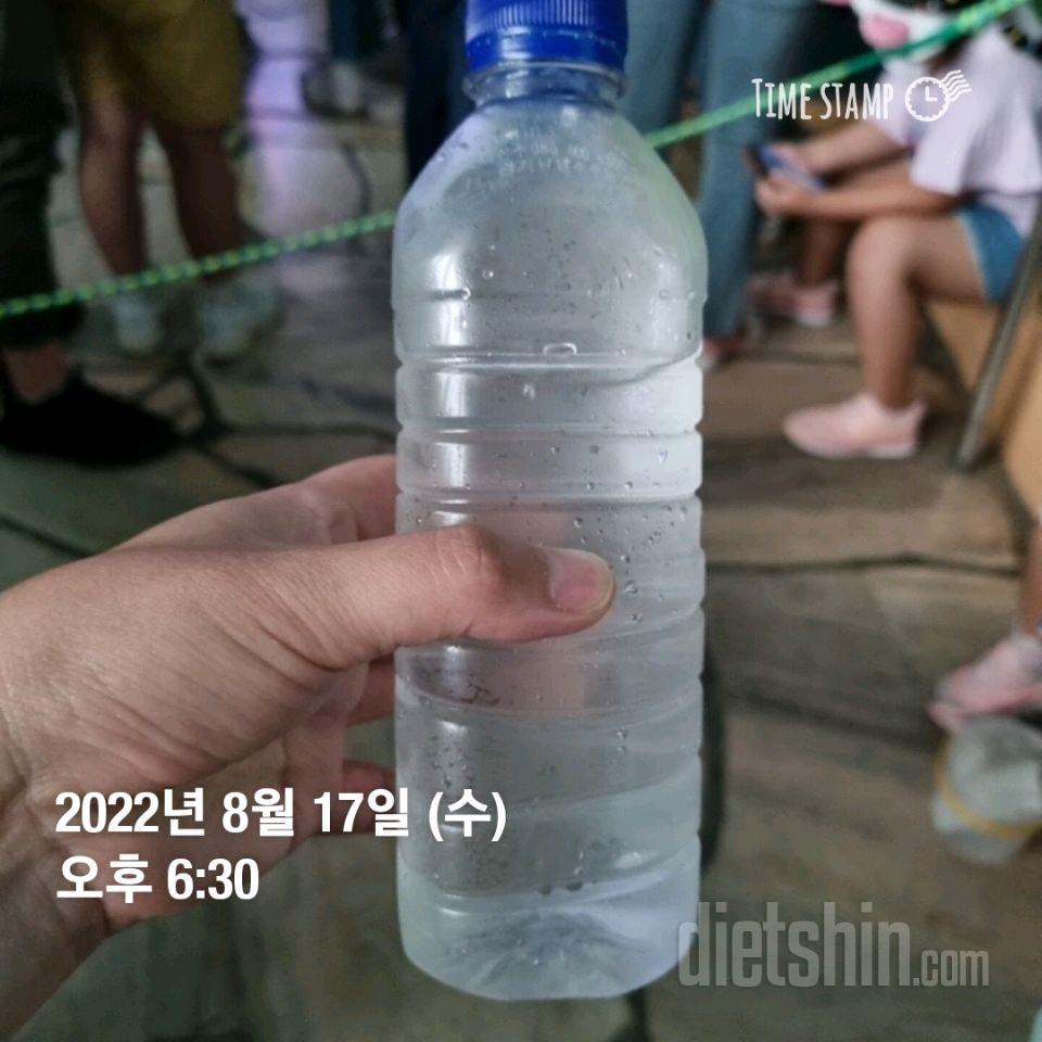 30일 하루 2L 물마시기35일차 성공!