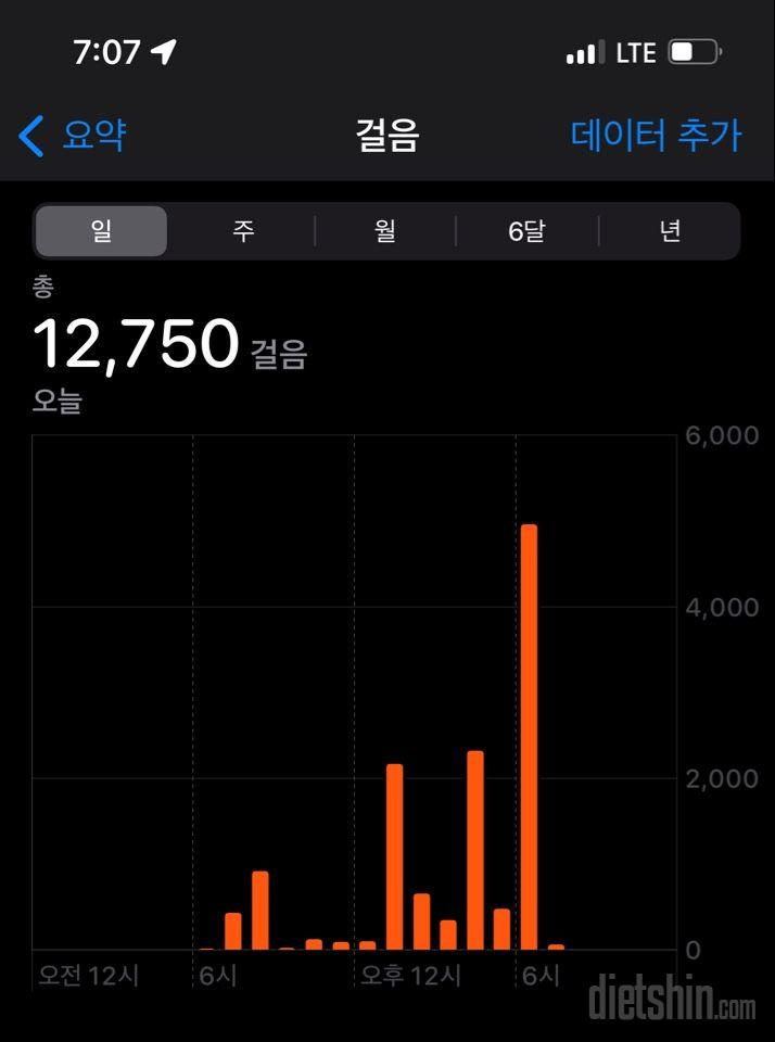 30일 만보 걷기33일차 성공!