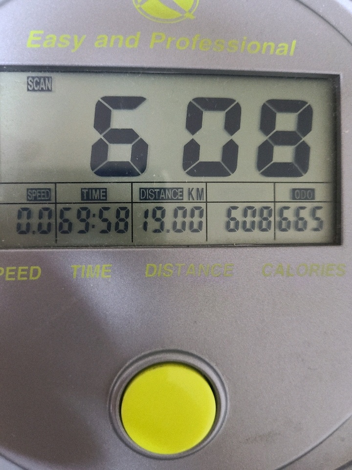 08월 17일( 운동 600kcal)