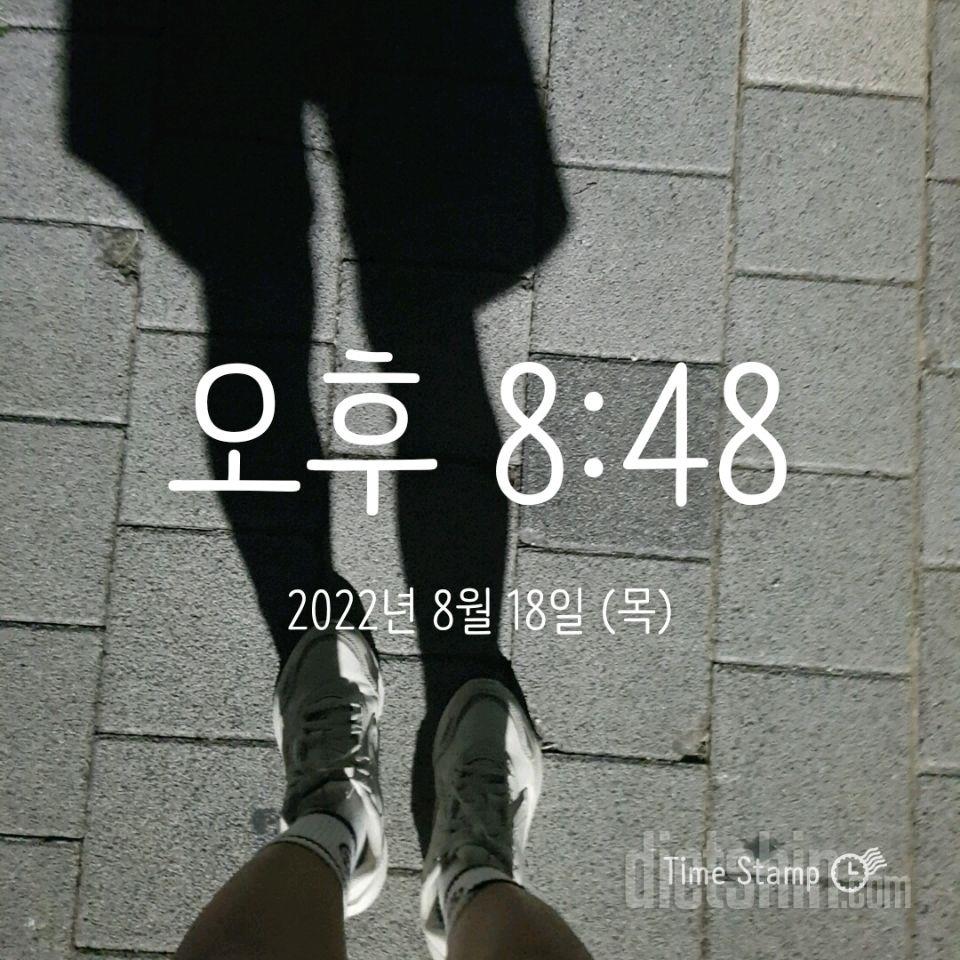 30일 만보 걷기376일차 성공!