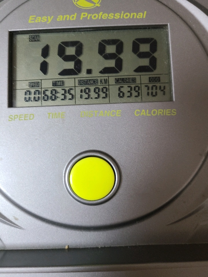 08월 19일( 운동 600kcal)