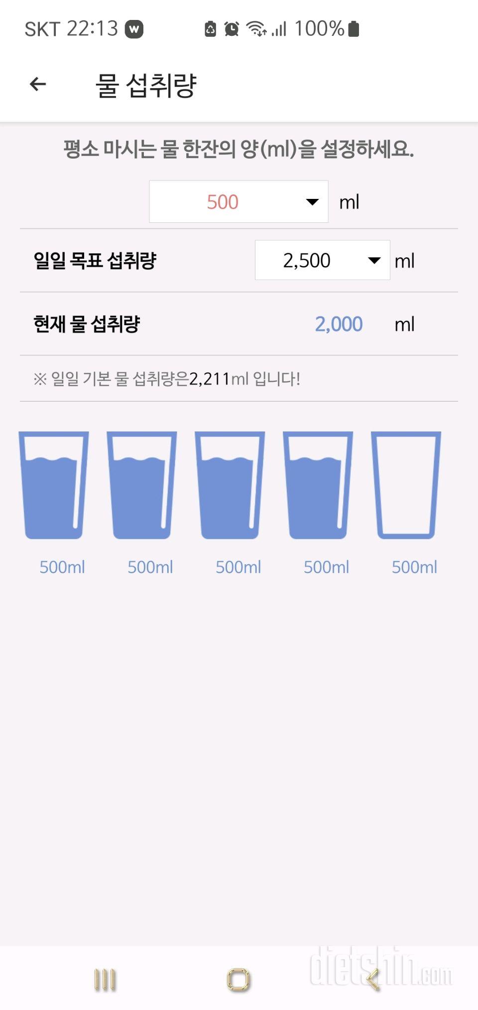 30일 하루 2L 물마시기11일차 성공!