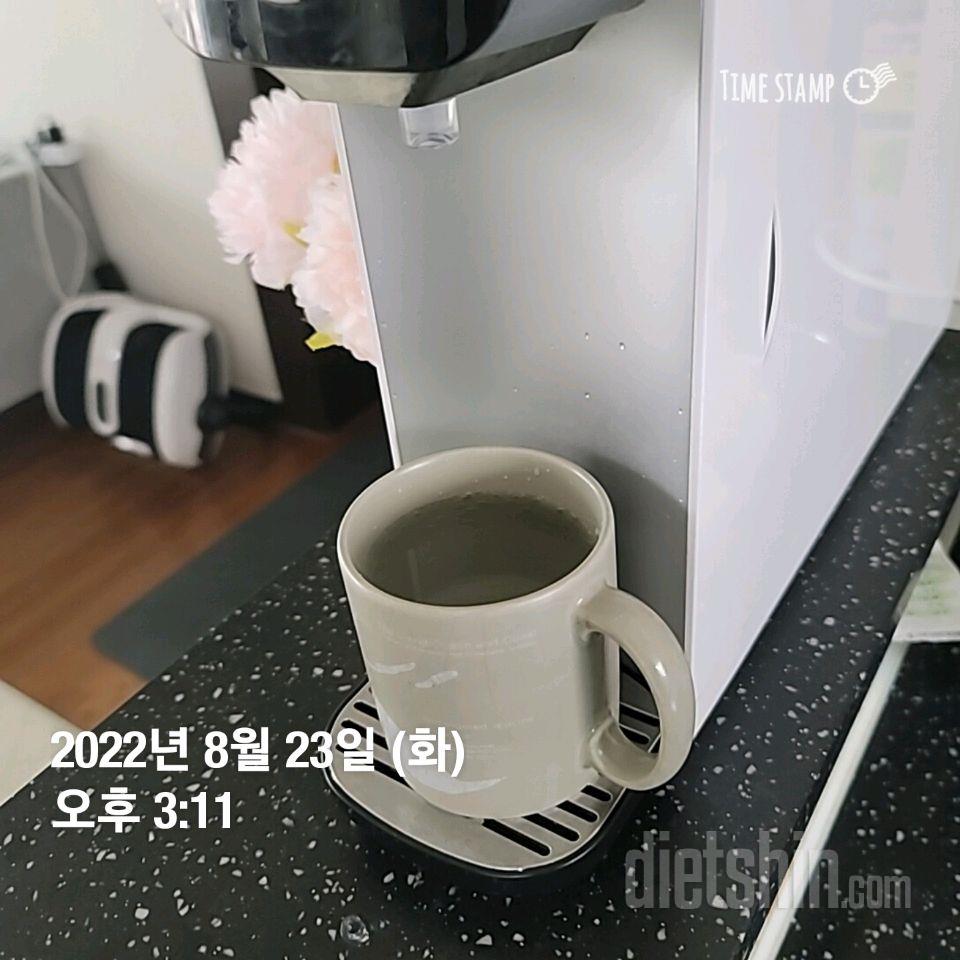 30일 하루 2L 물마시기5일차 성공!