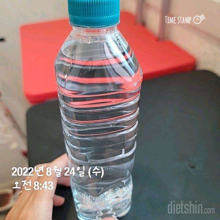 30일 하루 2L 물마시기42일차 성공!