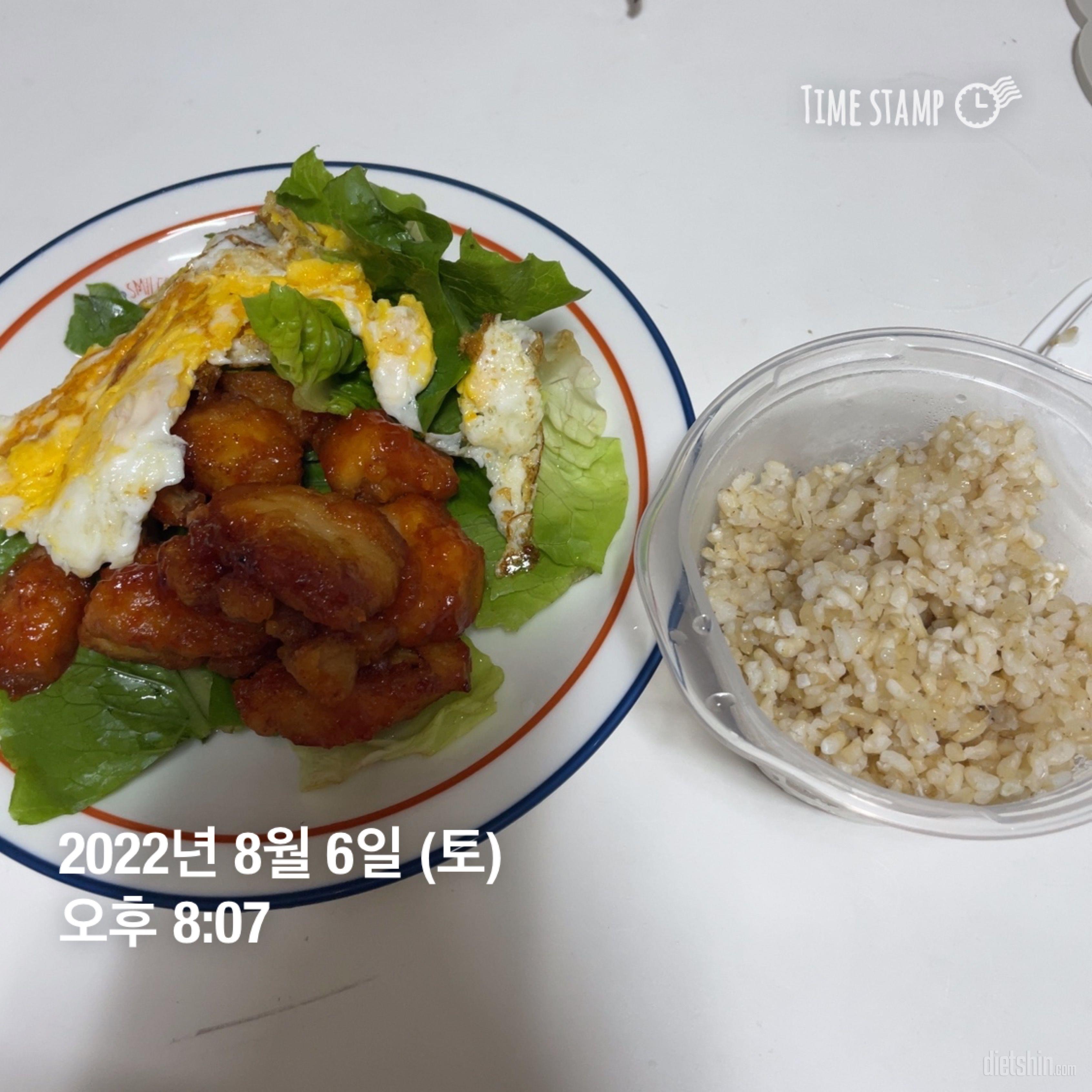 이거슨 치킨인가 닭가슴살인가 그냥 치