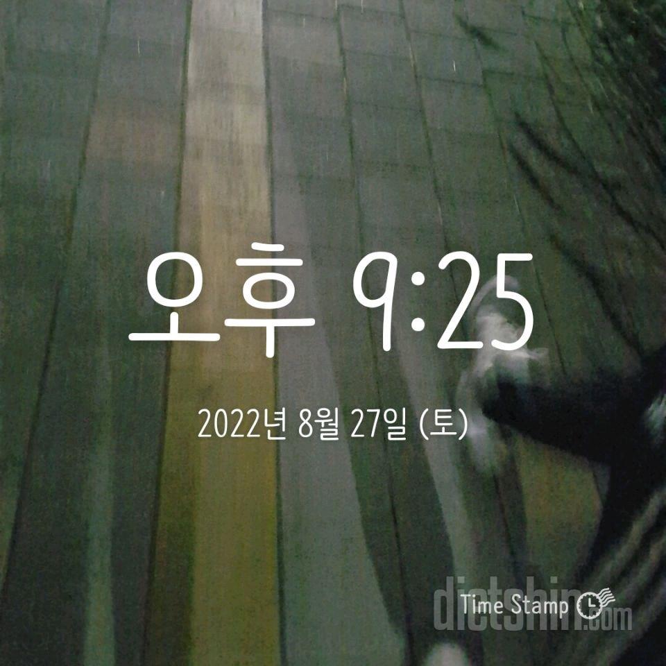 30일 만보 걷기384일차 성공!