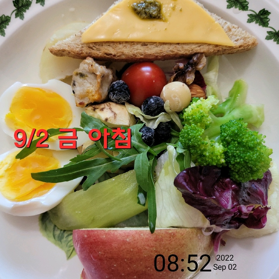 09월 02일( 아침식사 )