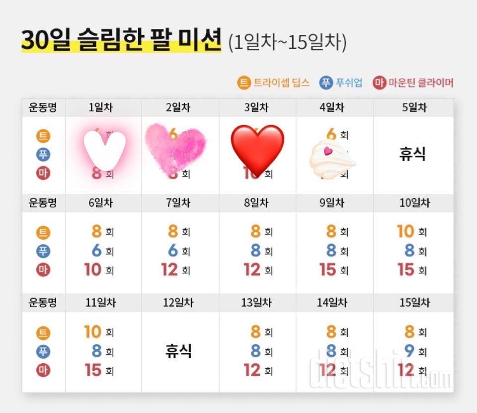 30일 슬림한 팔4일차 성공!