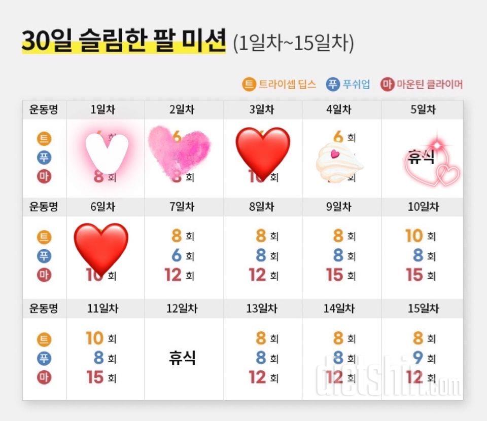 30일 슬림한 팔6일차 성공!