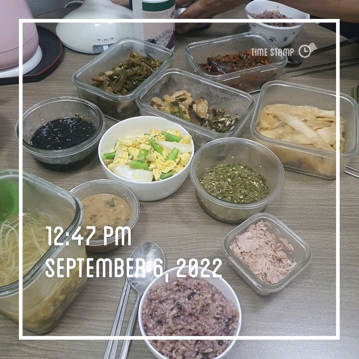 09월 06일( 점심식사 376kcal)