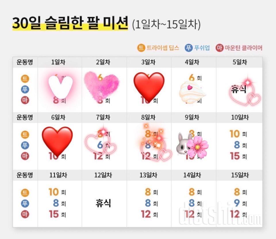 30일 슬림한 팔9일차 성공!