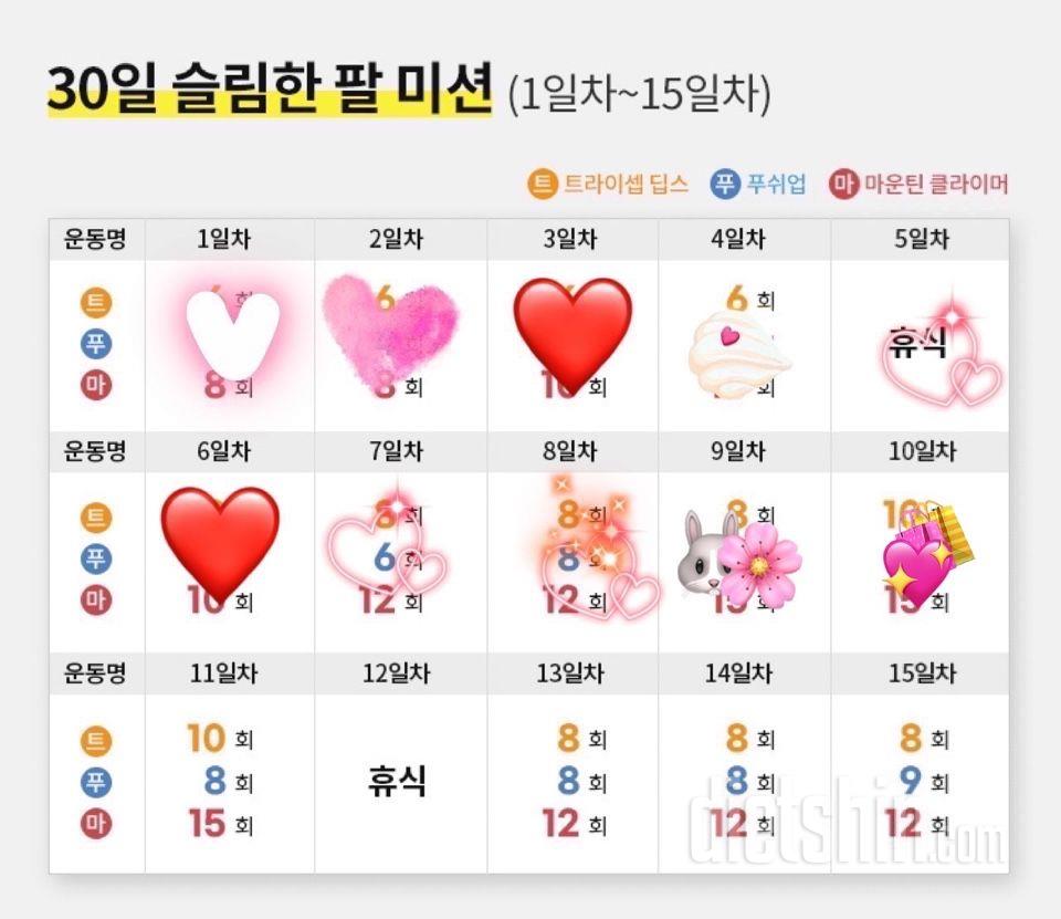 30일 슬림한 팔10일차 성공!