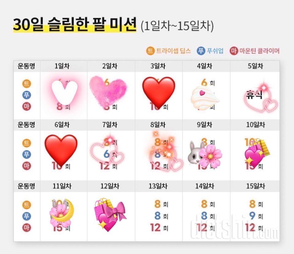 30일 슬림한 팔12일차 성공!