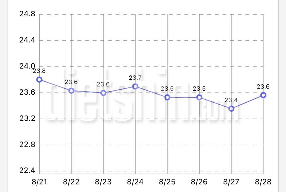 11주차 인증(8/21-8/28)