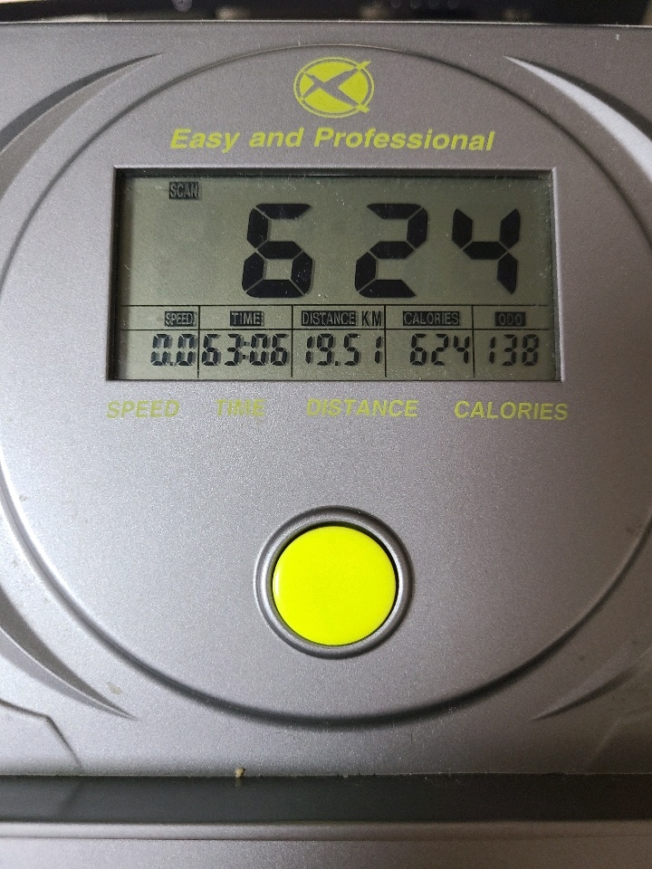 09월 14일( 운동 636kcal)