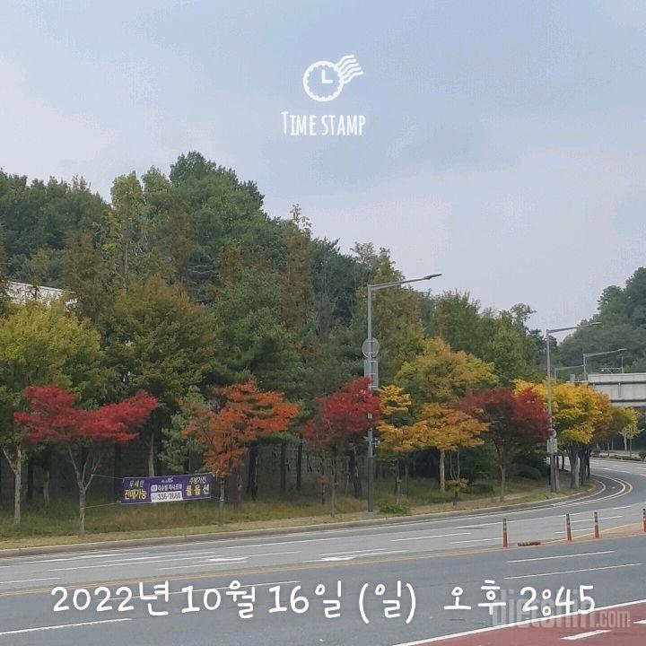 10.16 식단.운동