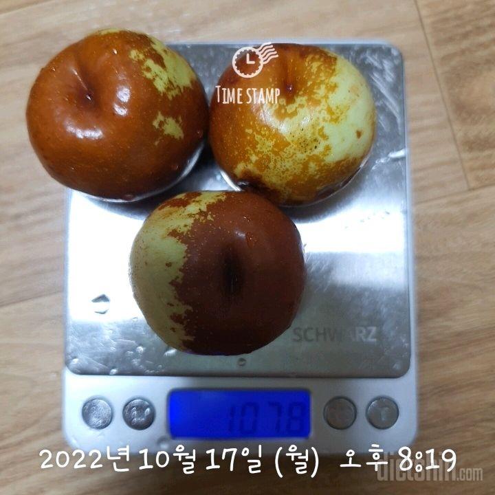 10.17 식단