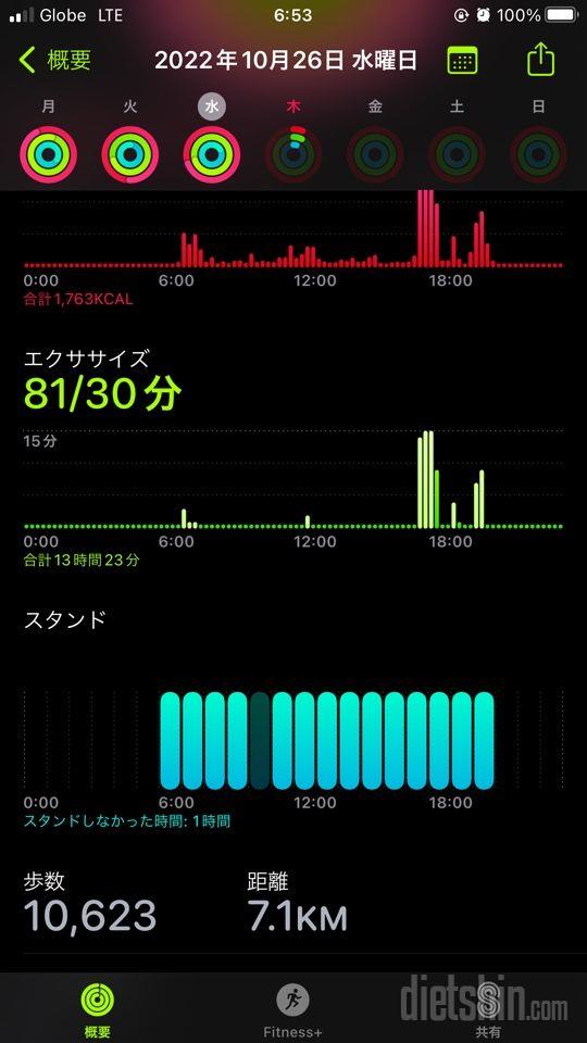 30일 만보 걷기463일차 성공!