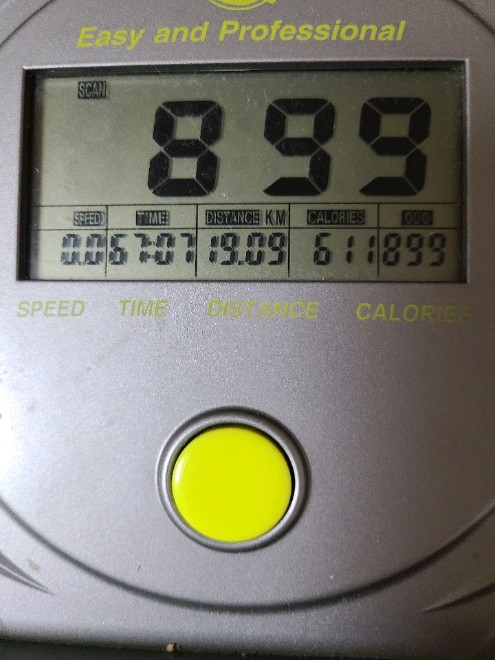 11월 01일( 운동 636kcal)