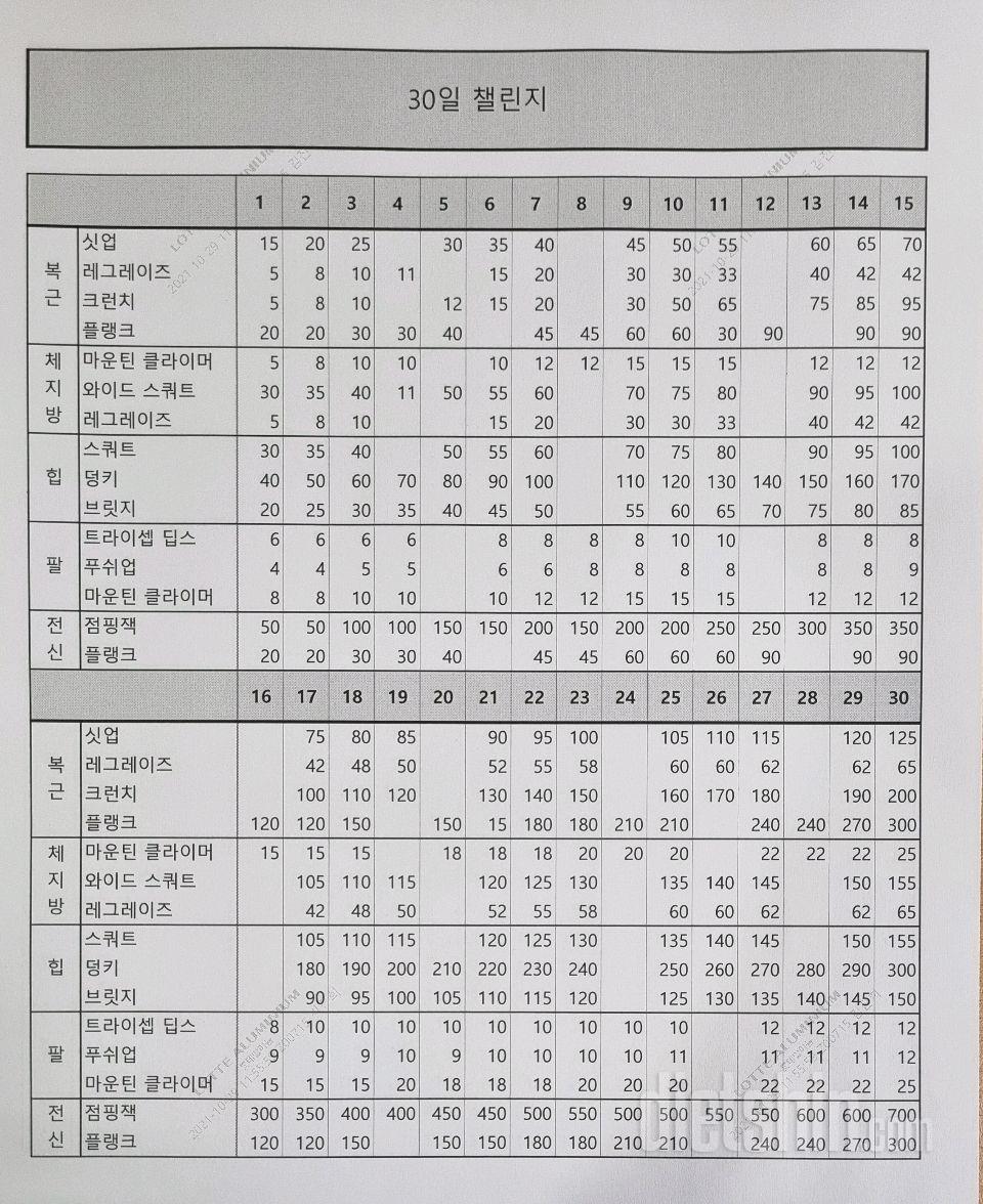 30일 첼린지 같이 할까요?