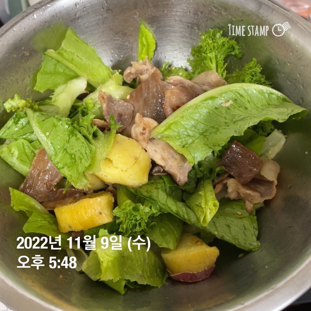 11월 09일(저녁 522kcal)