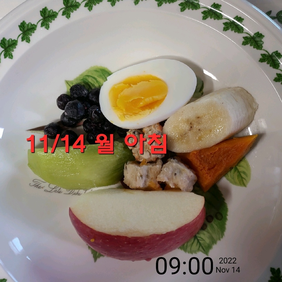 11월 14일( 아침식사 235kcal)