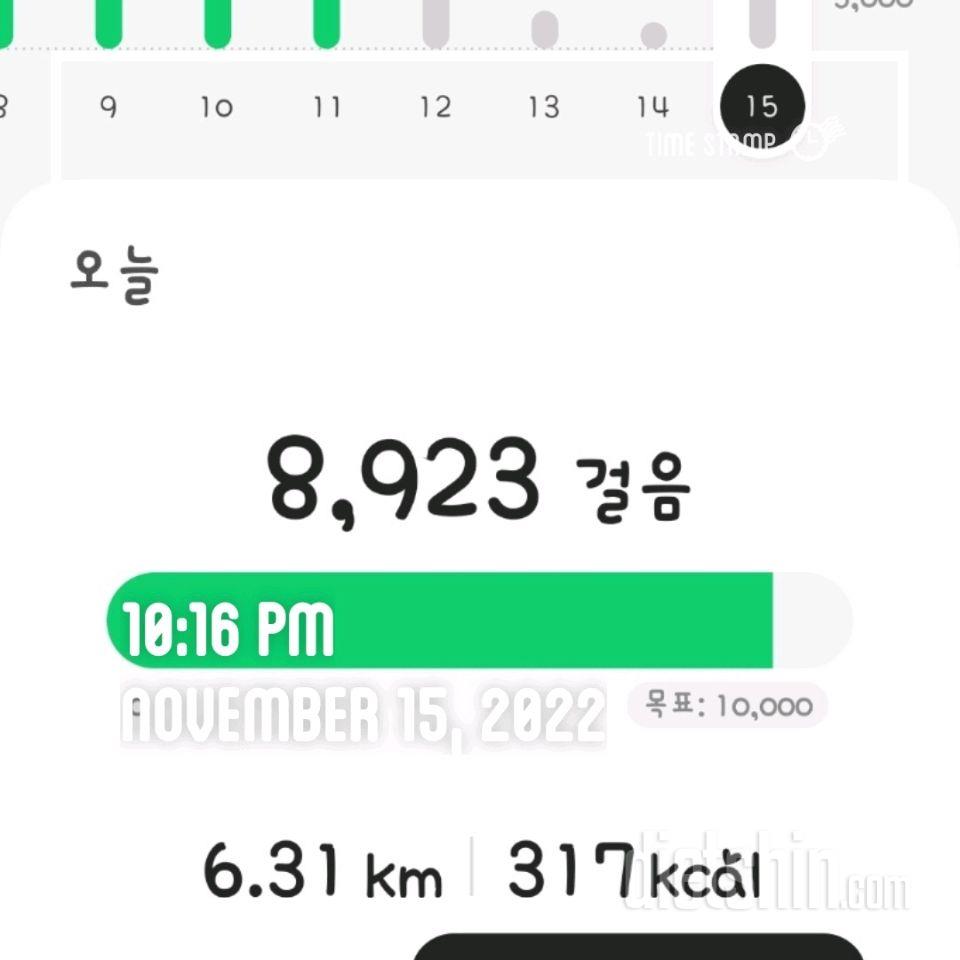 11월15일 운동