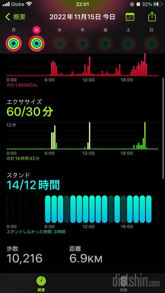 30일 만보 걷기481일차 성공!