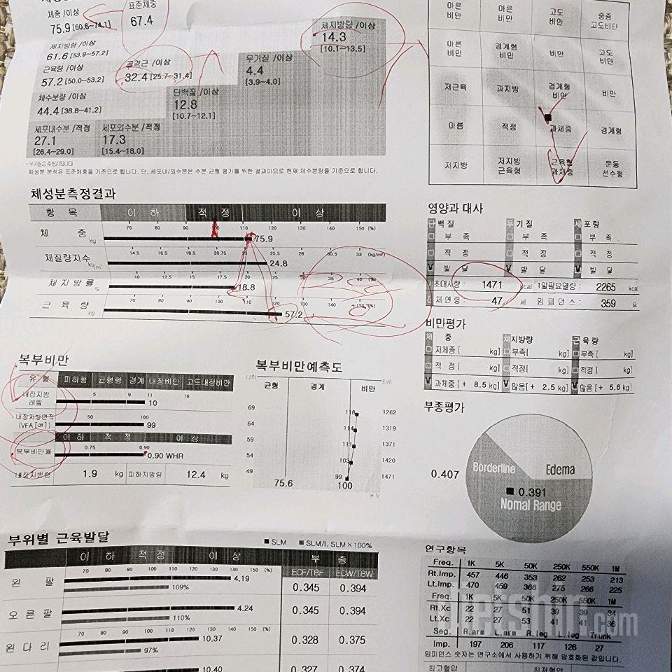 다이어트시작 첫날