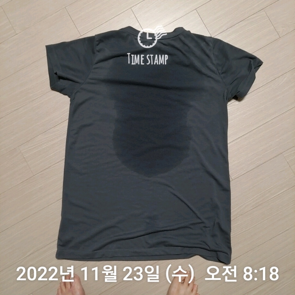 11월 23일( 운동 651kcal)