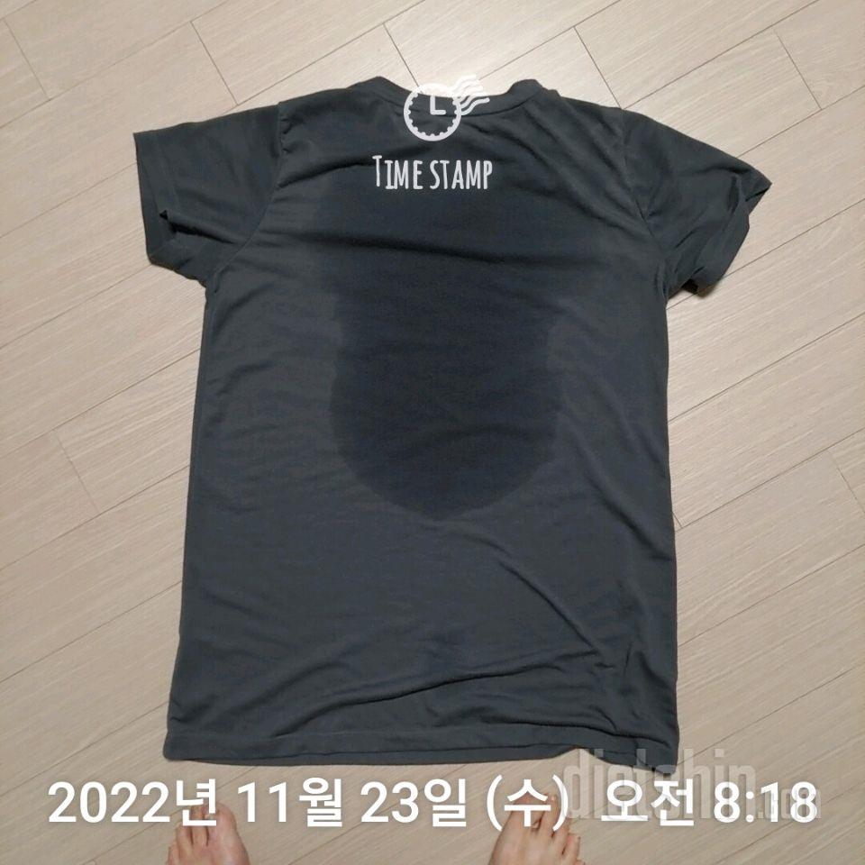 11월 23일( 운동 651kcal)