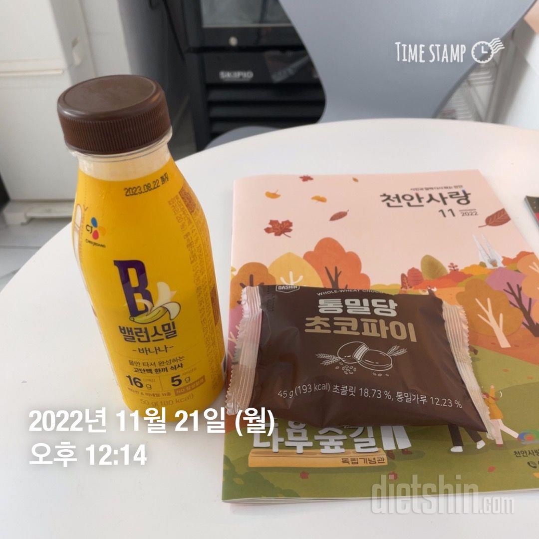 초코파이 넘 맛있습니다 살짝 얼어 있