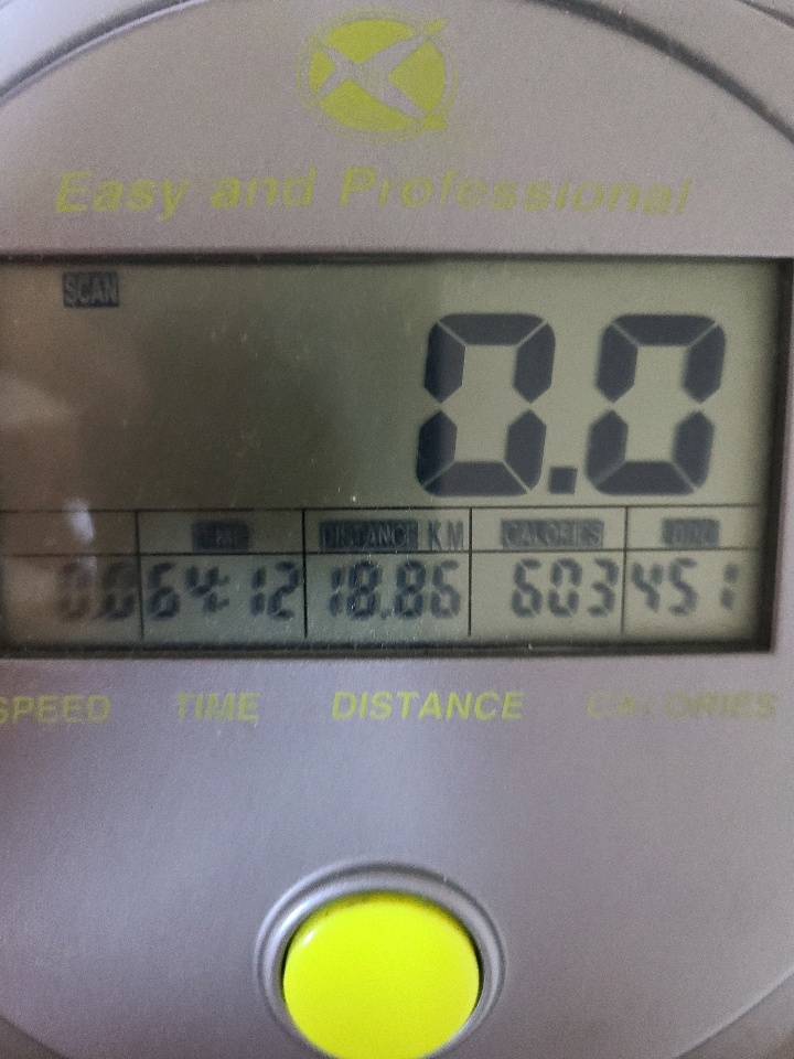 12월 18일( 운동 636kcal)