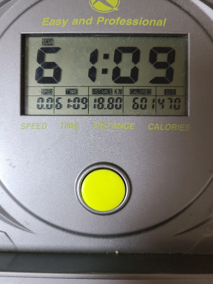 12월 20일( 운동 636kcal)