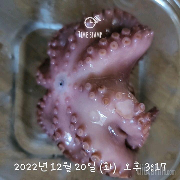 12.20 식단