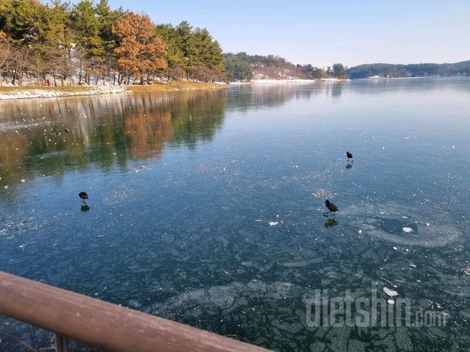 출출할 때 아메리카노 한잔과 단백할 시간이면 OK!